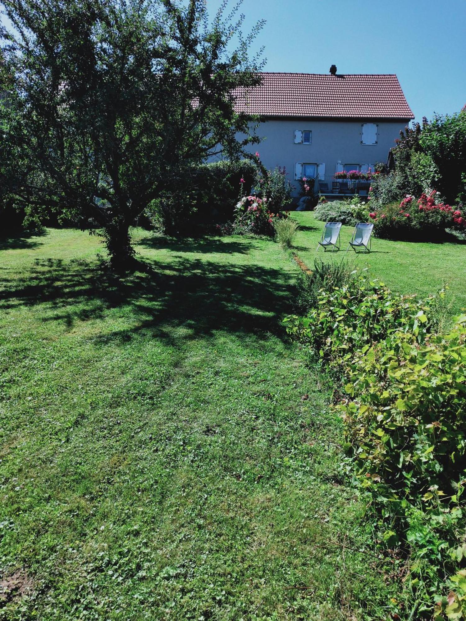 Gite Les Papillons Bining Exteriör bild